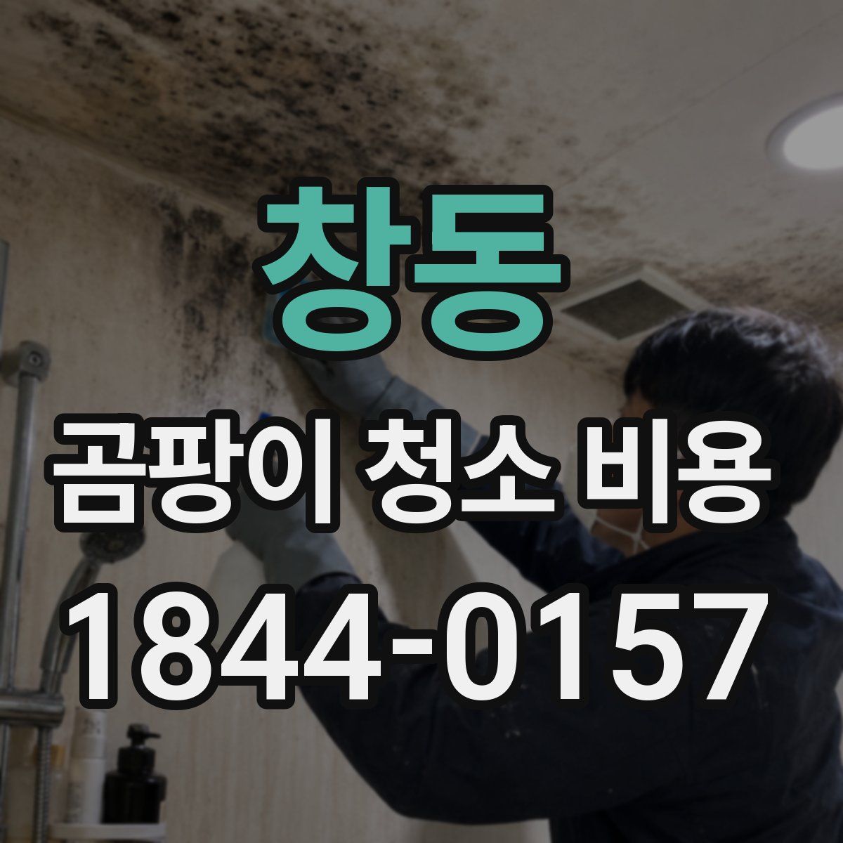 창동 곰팡이 청소 비용