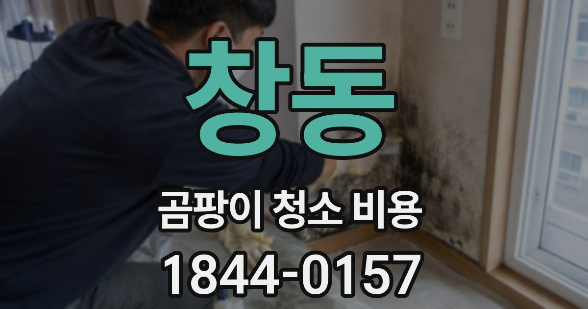 창동 곰팡이 청소 비용