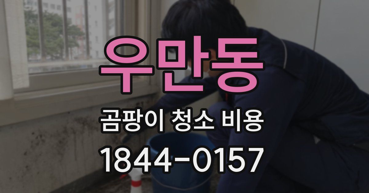 우만동 곰팡이 청소 비용