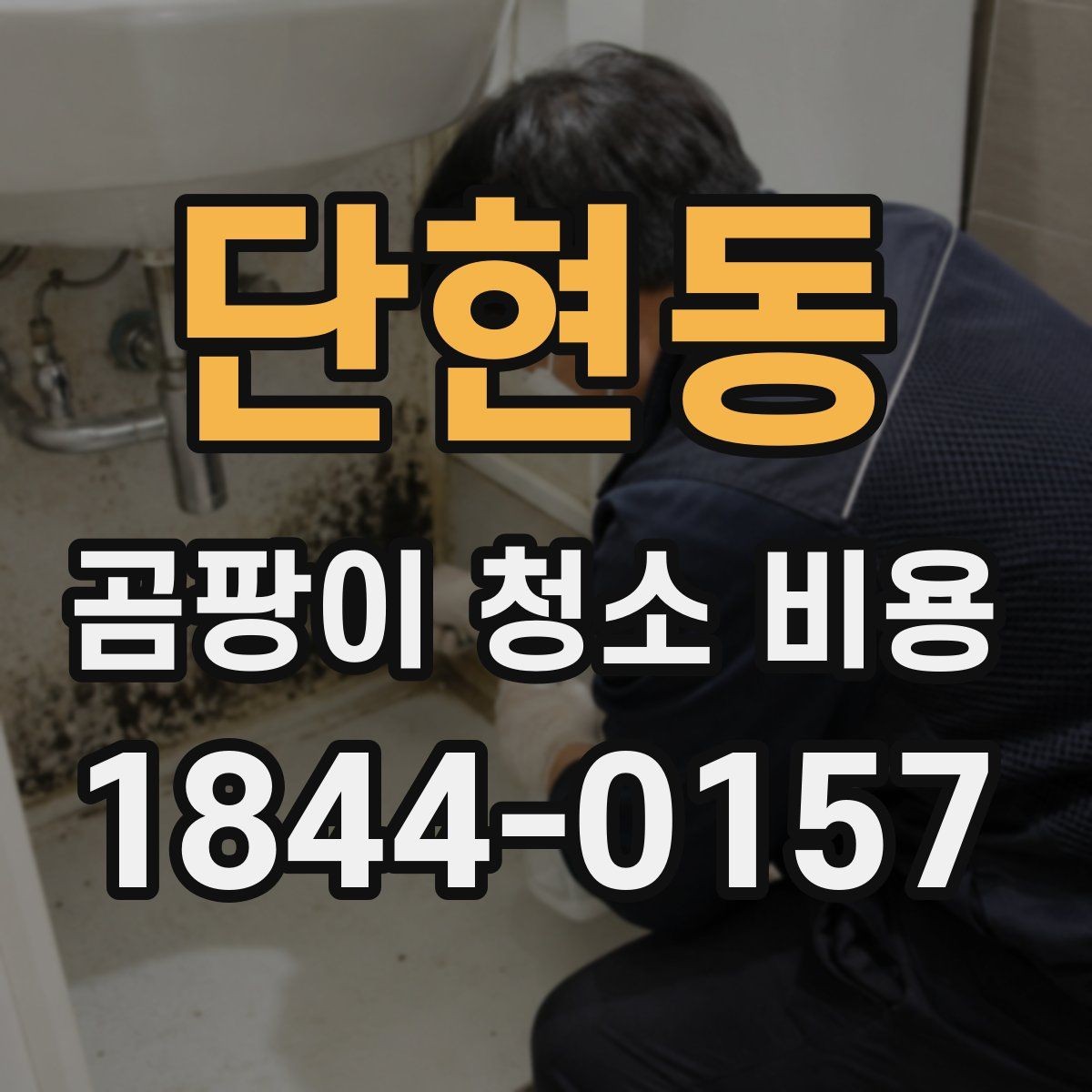 단현동 곰팡이 청소 비용 벽지 뜯음 보수가 필요한 상황과 판단법