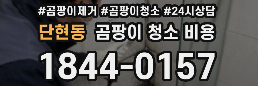 단현동 곰팡이 청소 비용