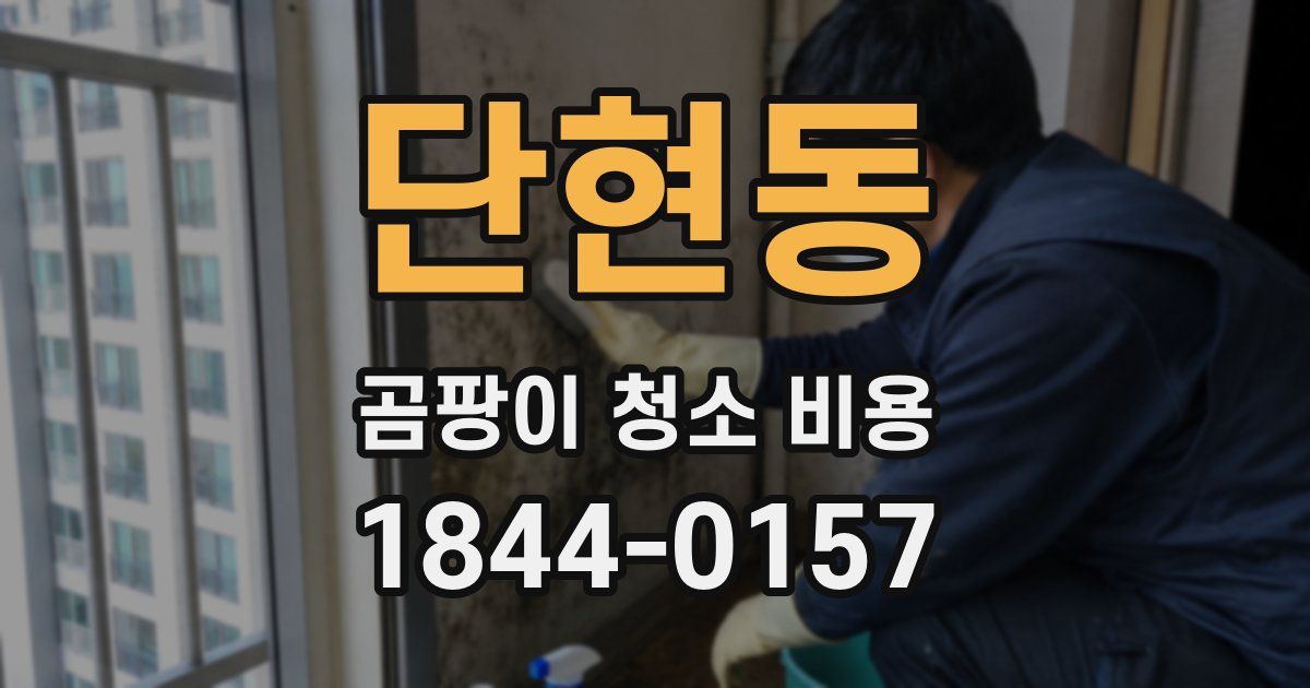 단현동 곰팡이 청소 비용