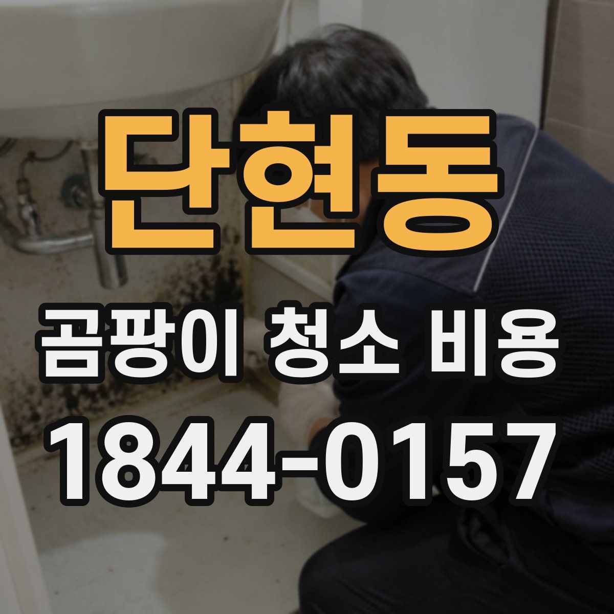 단현동 곰팡이 청소 비용