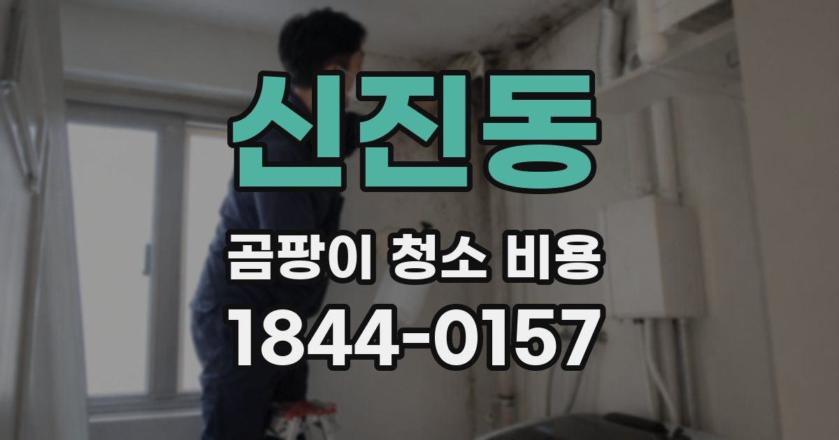 신진동 곰팡이 청소 비용