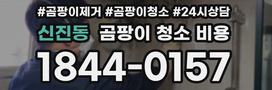 신진동 곰팡이 청소 비용
