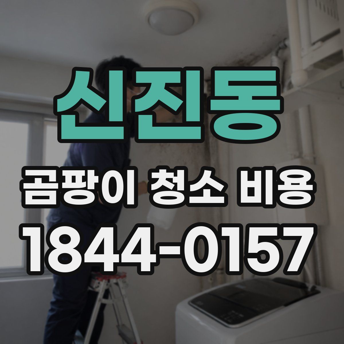 신진동 곰팡이 청소 비용