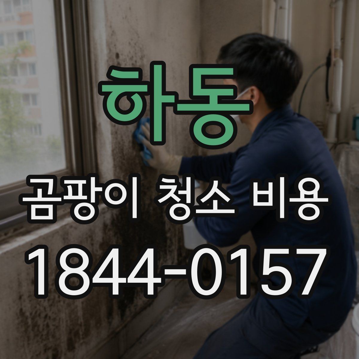 하동 곰팡이 청소 비용 시간이 흐른 곰팡이와 최근 번짐의 차이