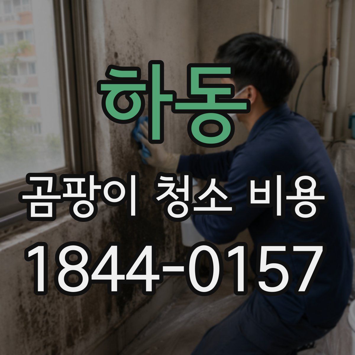 하동 곰팡이 청소 비용