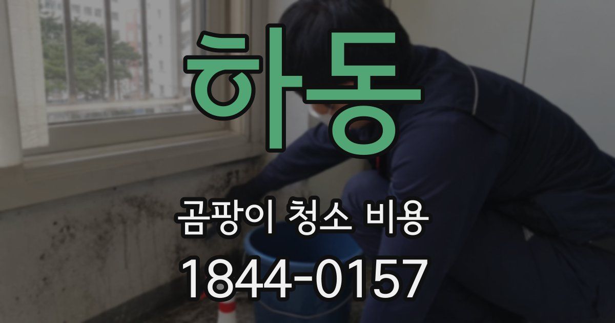 하동 곰팡이 청소 비용