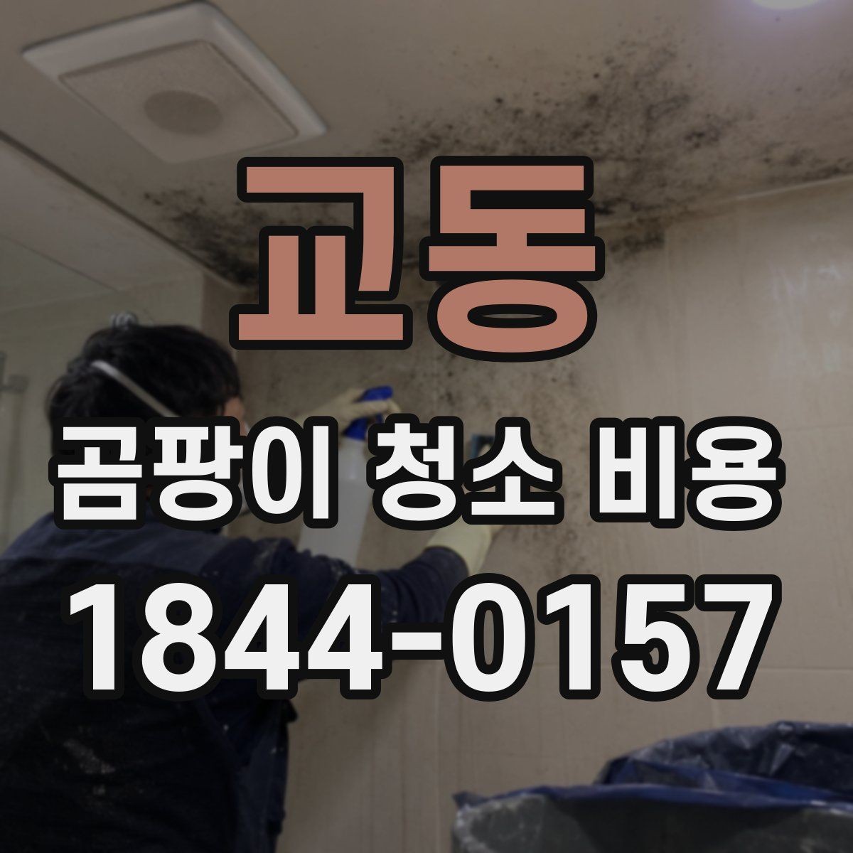 교동 곰팡이 청소 비용 방 한 칸 기준으로 달라지는 요소 정리
