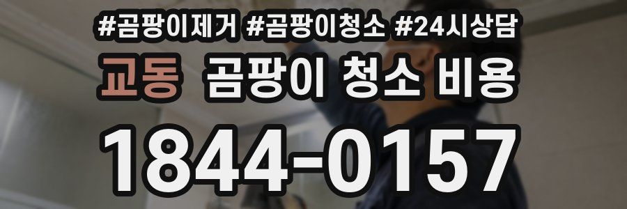 교동 곰팡이 청소 비용
