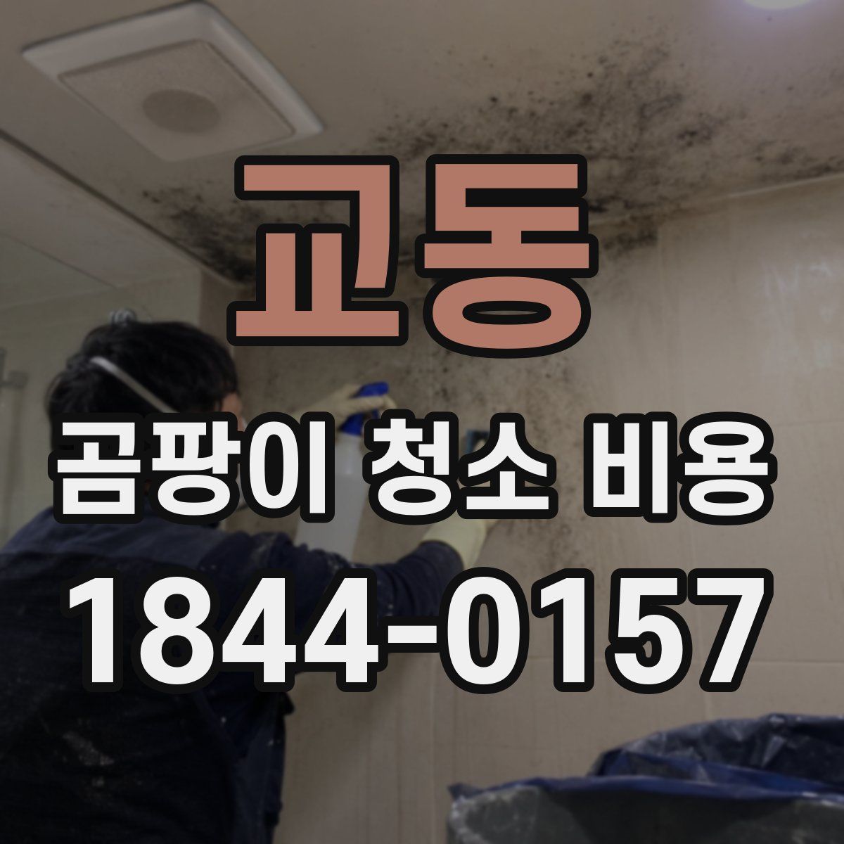 교동 곰팡이 청소 비용