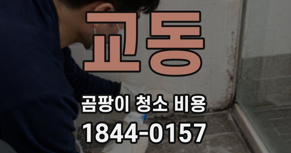 교동 곰팡이 청소 비용