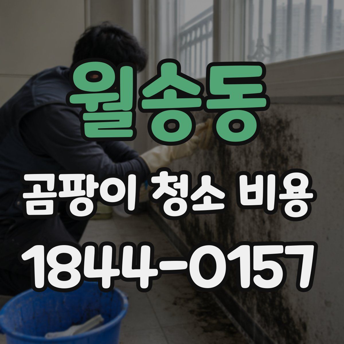 월송동 곰팡이 청소 비용