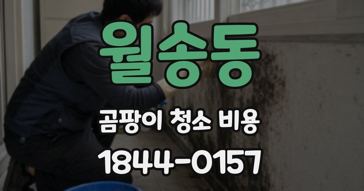 월송동 곰팡이 청소 비용