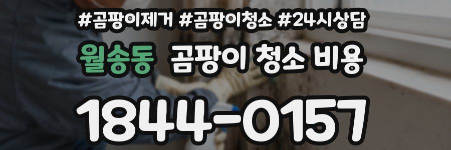 월송동 곰팡이 청소 비용