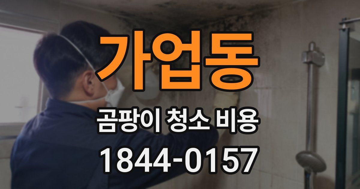 가업동 곰팡이 청소 비용