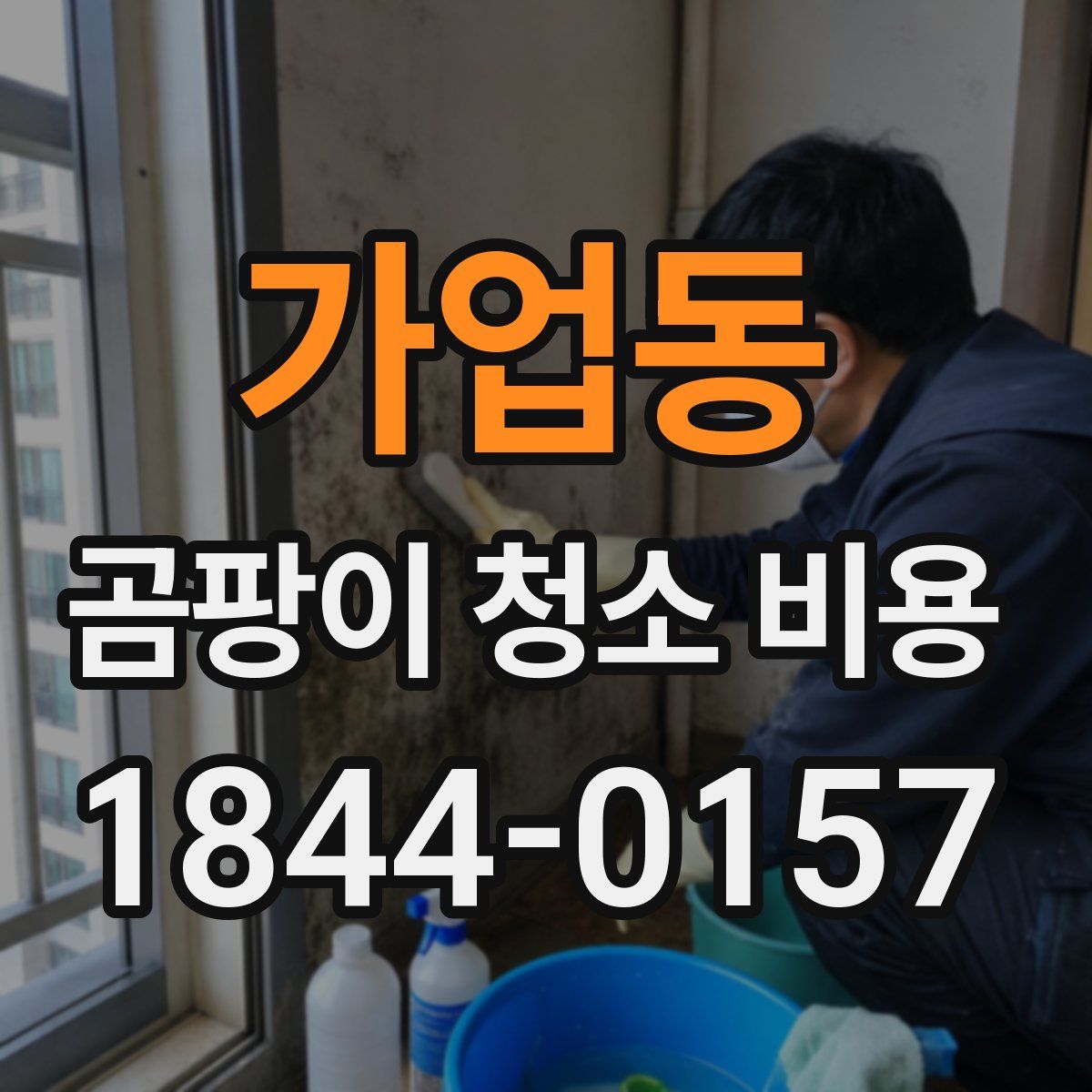 가업동 곰팡이 청소 비용