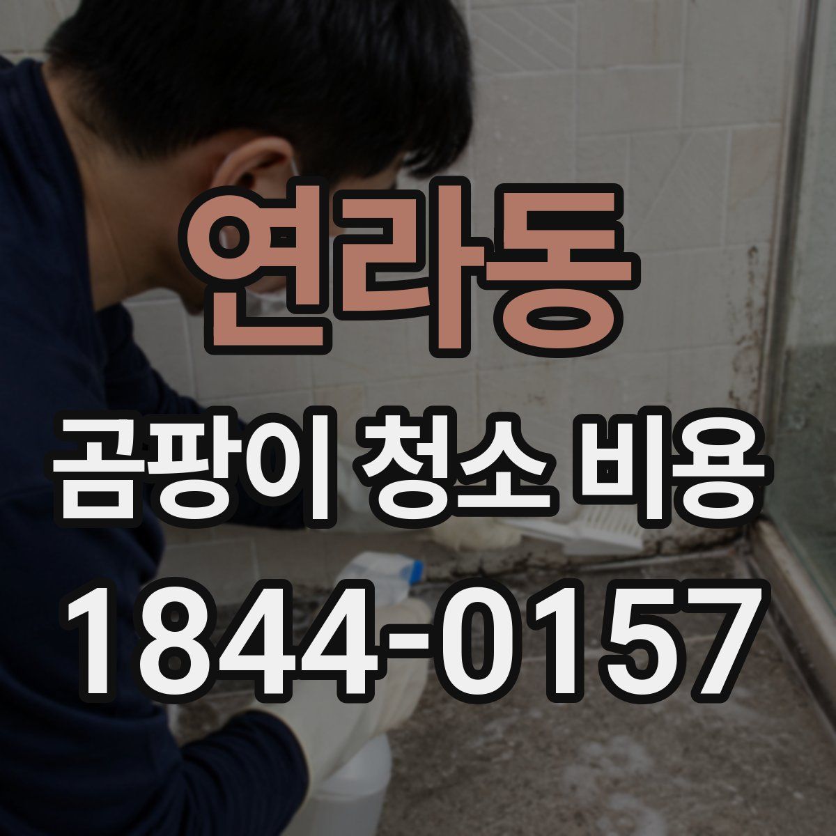 연라동 곰팡이 청소 비용