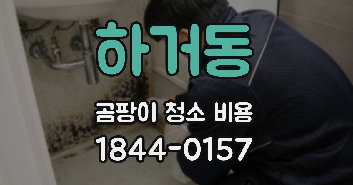 하거동 곰팡이 청소 비용