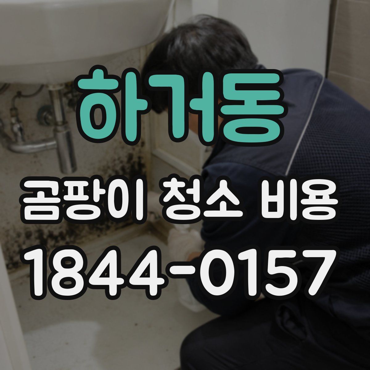 하거동 곰팡이 청소 비용