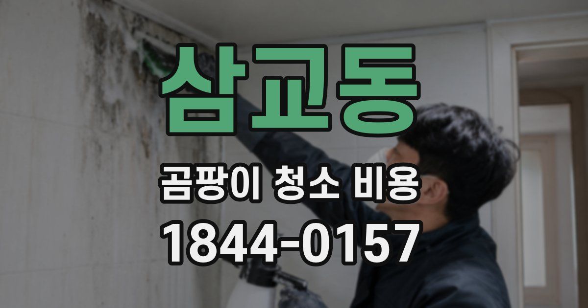 삼교동 곰팡이 청소 비용