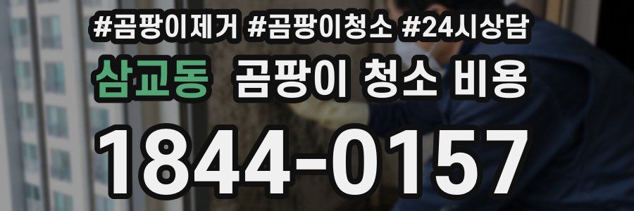 삼교동 곰팡이 청소 비용
