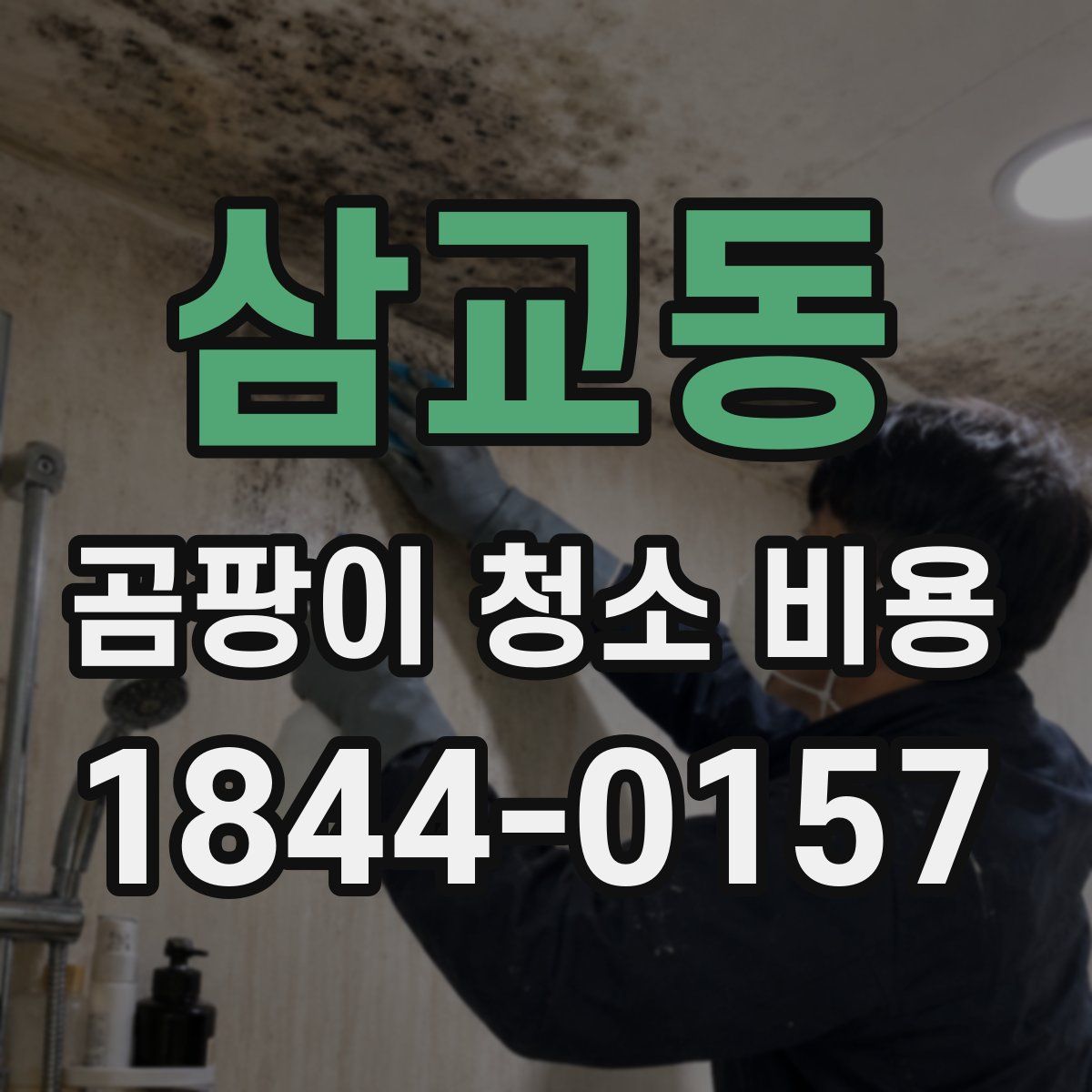 삼교동 곰팡이 청소 비용