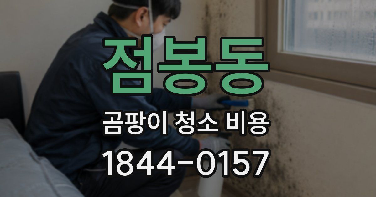점봉동 곰팡이 청소 비용