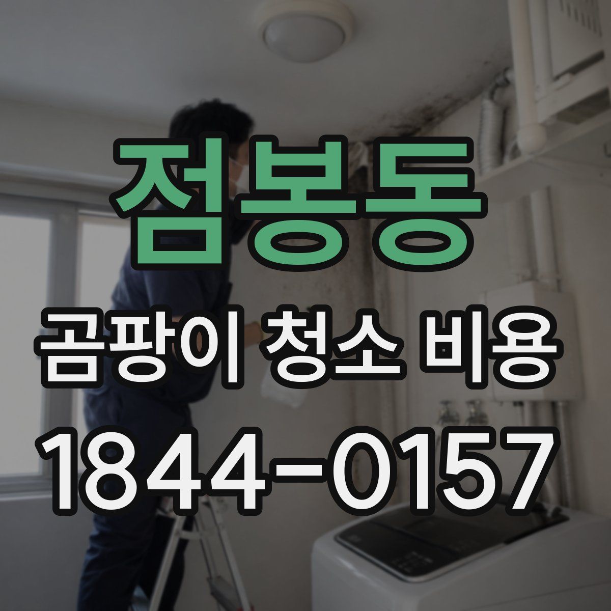 점봉동 곰팡이 청소 비용