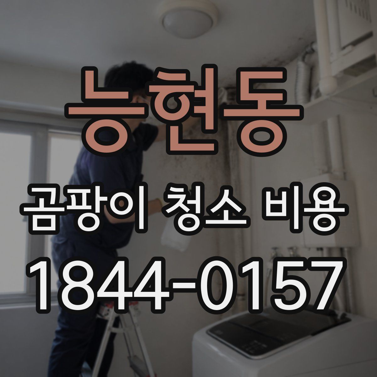 능현동 곰팡이 청소 비용