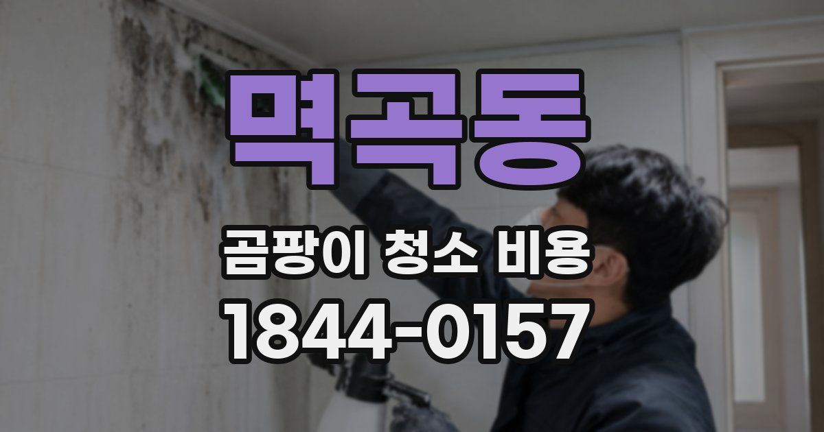 멱곡동 곰팡이 청소 비용