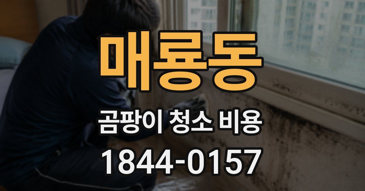 매룡동 곰팡이 청소 비용