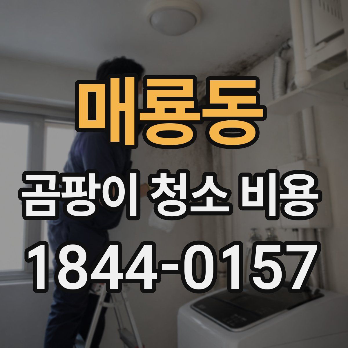 매룡동 곰팡이 청소 비용