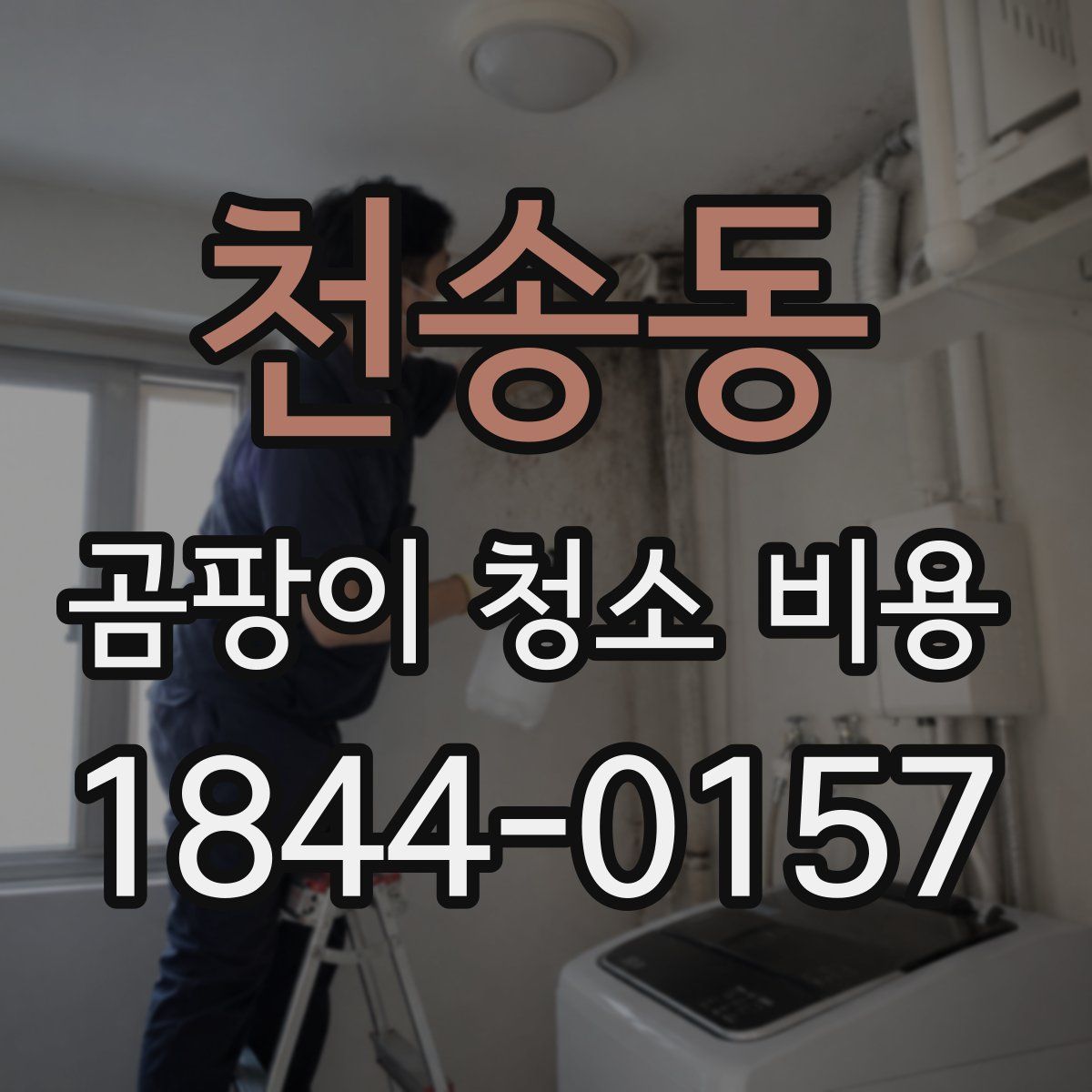 천송동 곰팡이 청소 비용