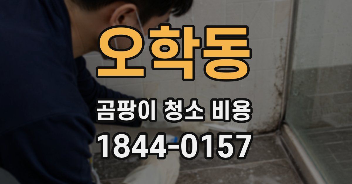 오학동 곰팡이 청소 비용