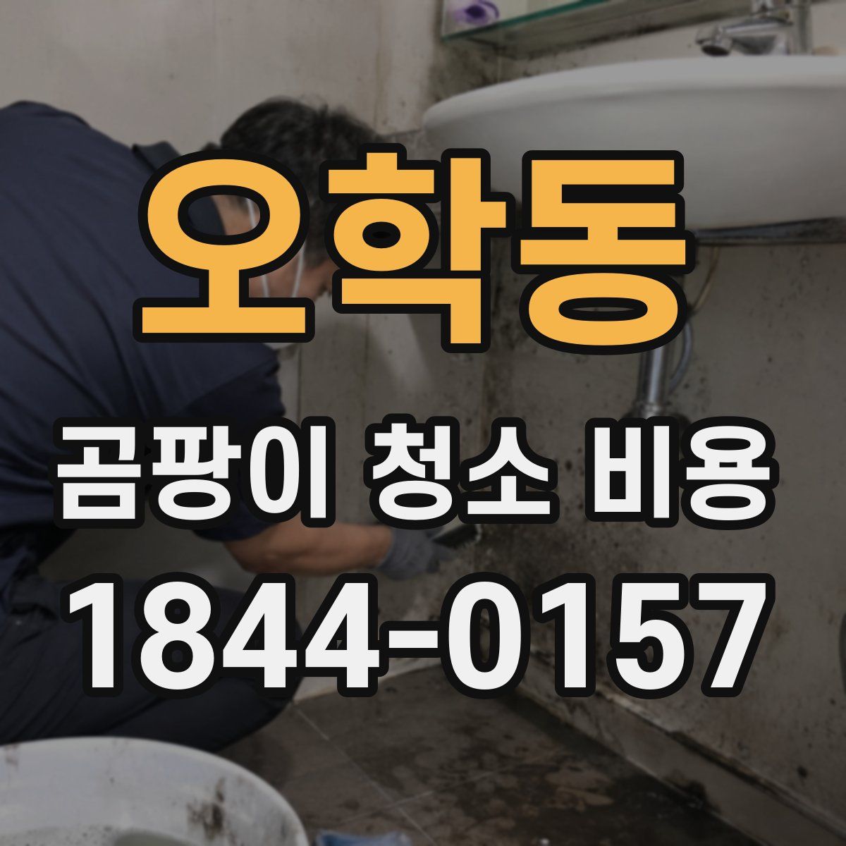 오학동 곰팡이 청소 비용