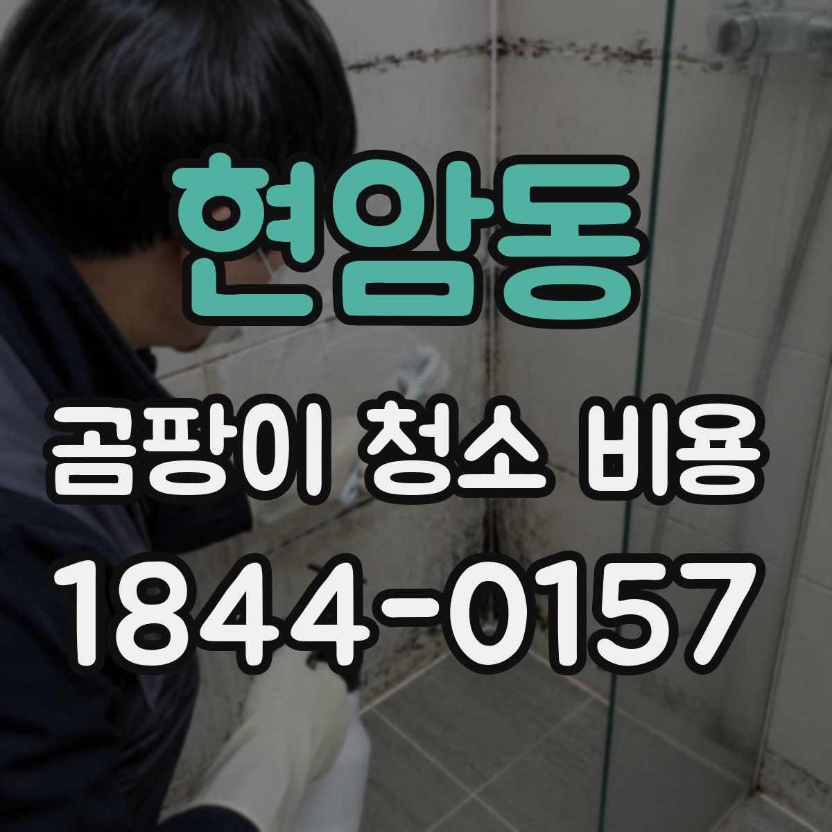 현암동 곰팡이 청소 비용