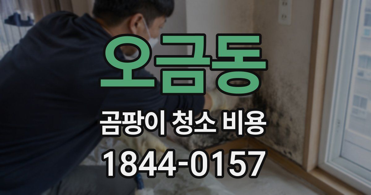 오금동 곰팡이 청소 비용