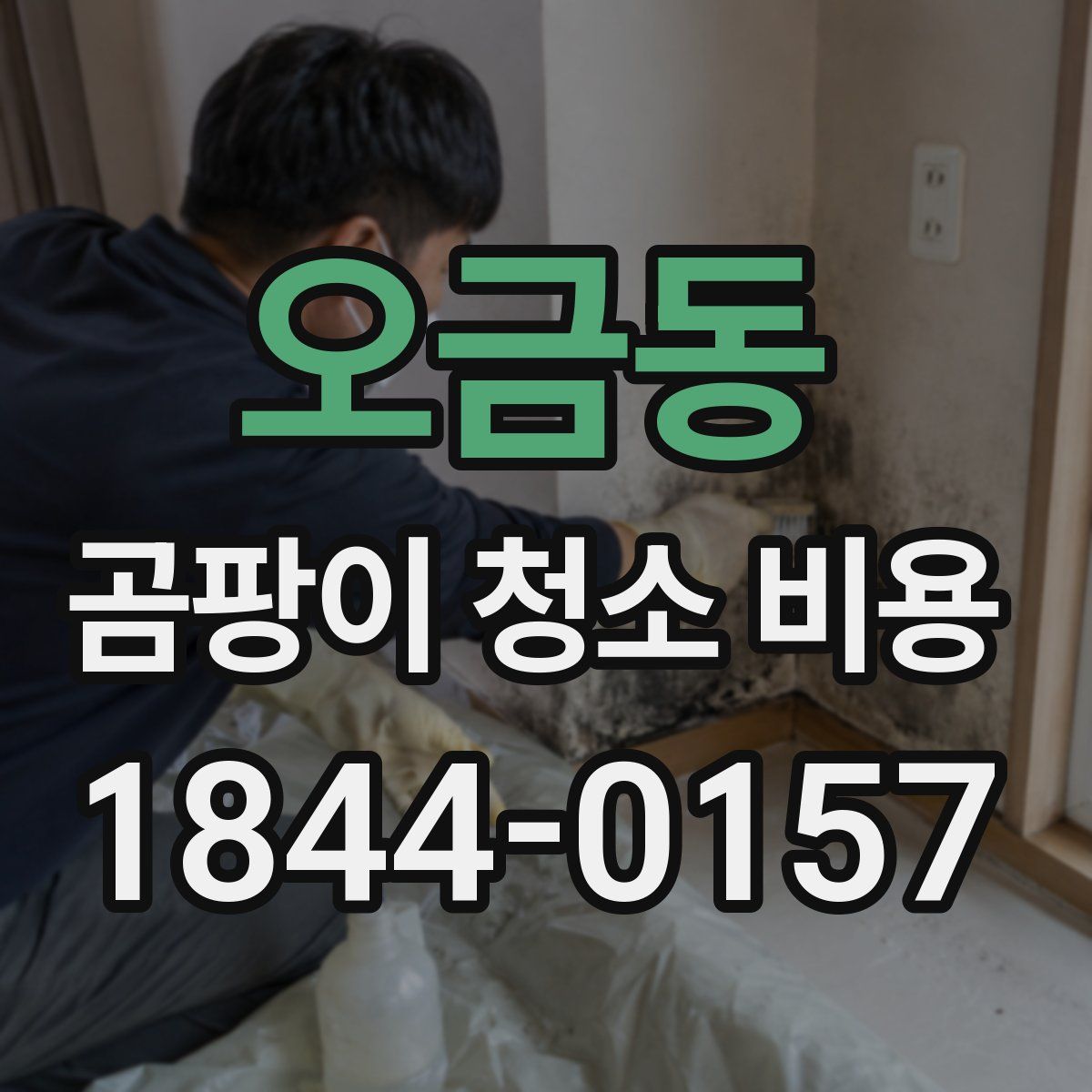 오금동 곰팡이 청소 비용