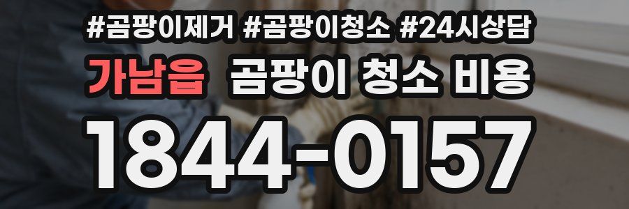 가남읍 곰팡이 청소 비용