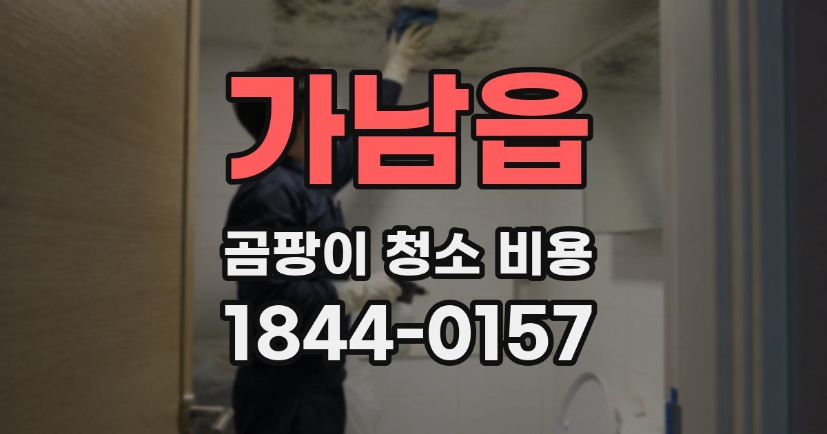 가남읍 곰팡이 청소 비용