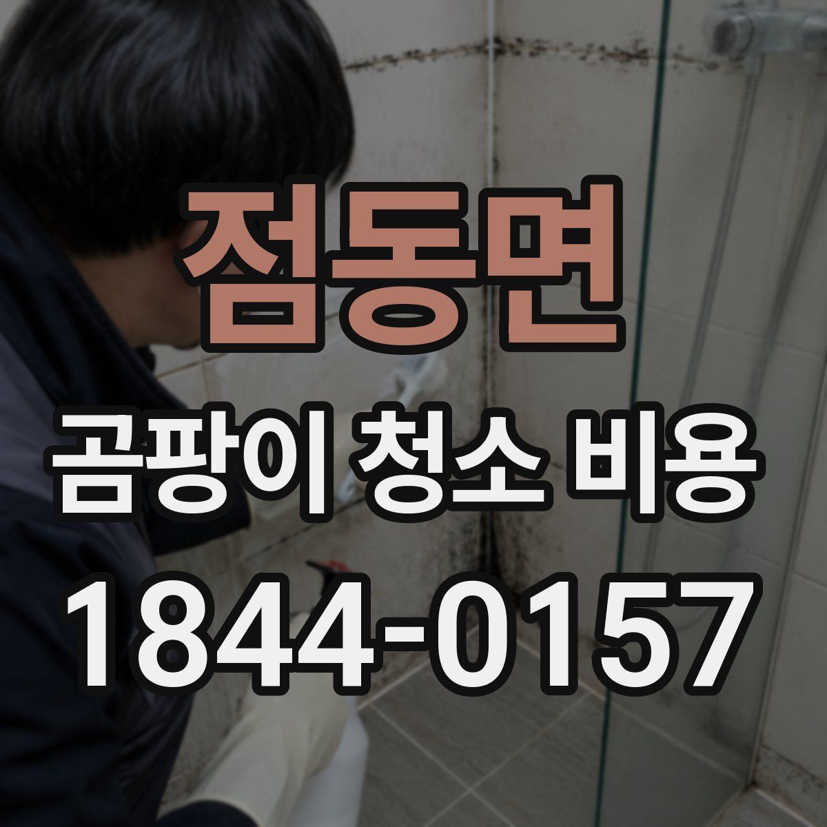 점동면 곰팡이 청소 비용