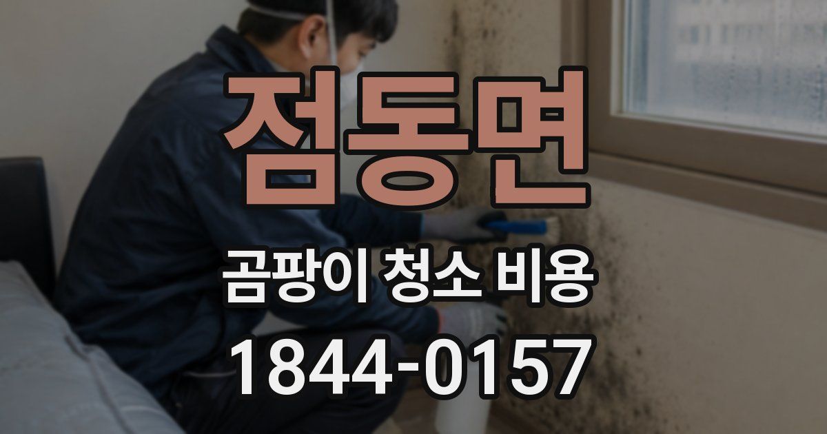점동면 곰팡이 청소 비용