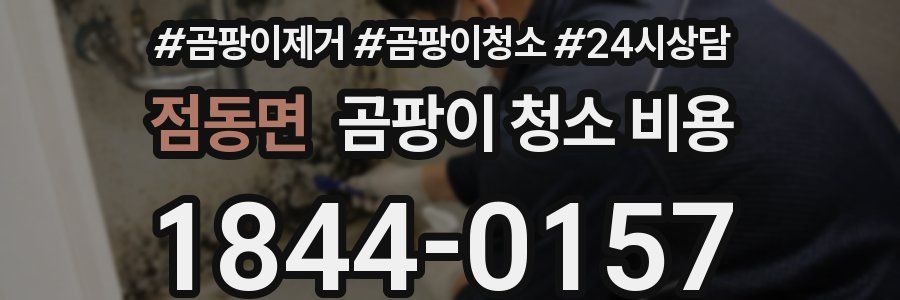 점동면 곰팡이 청소 비용