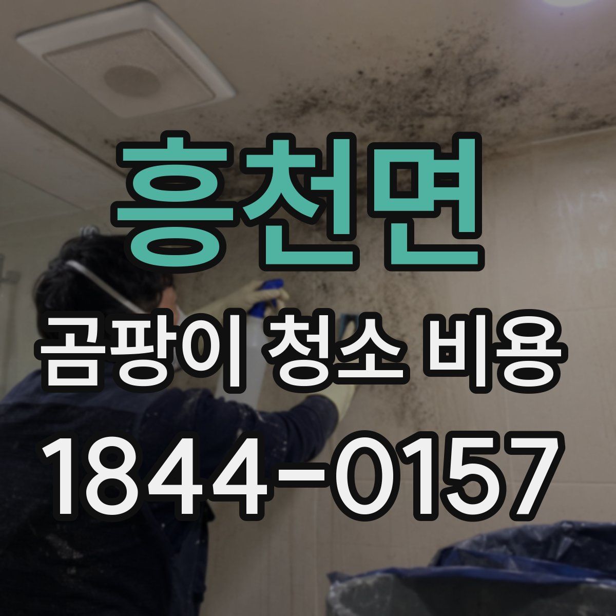 흥천면 곰팡이 청소 비용