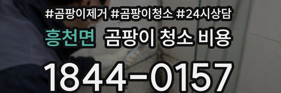흥천면 곰팡이 청소 비용