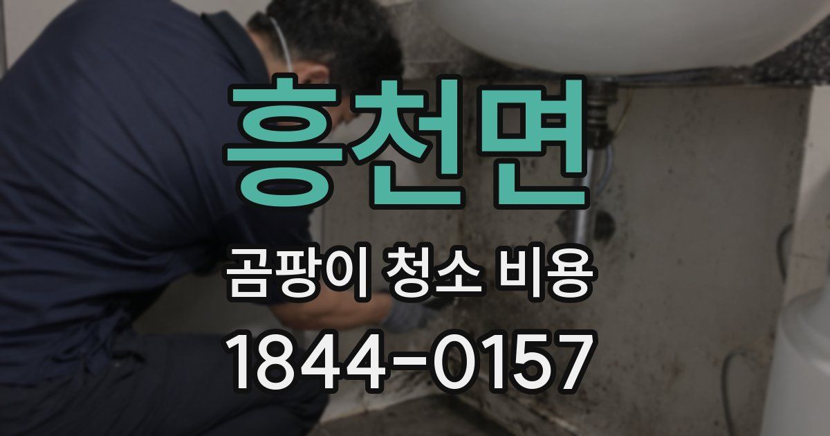 흥천면 곰팡이 청소 비용