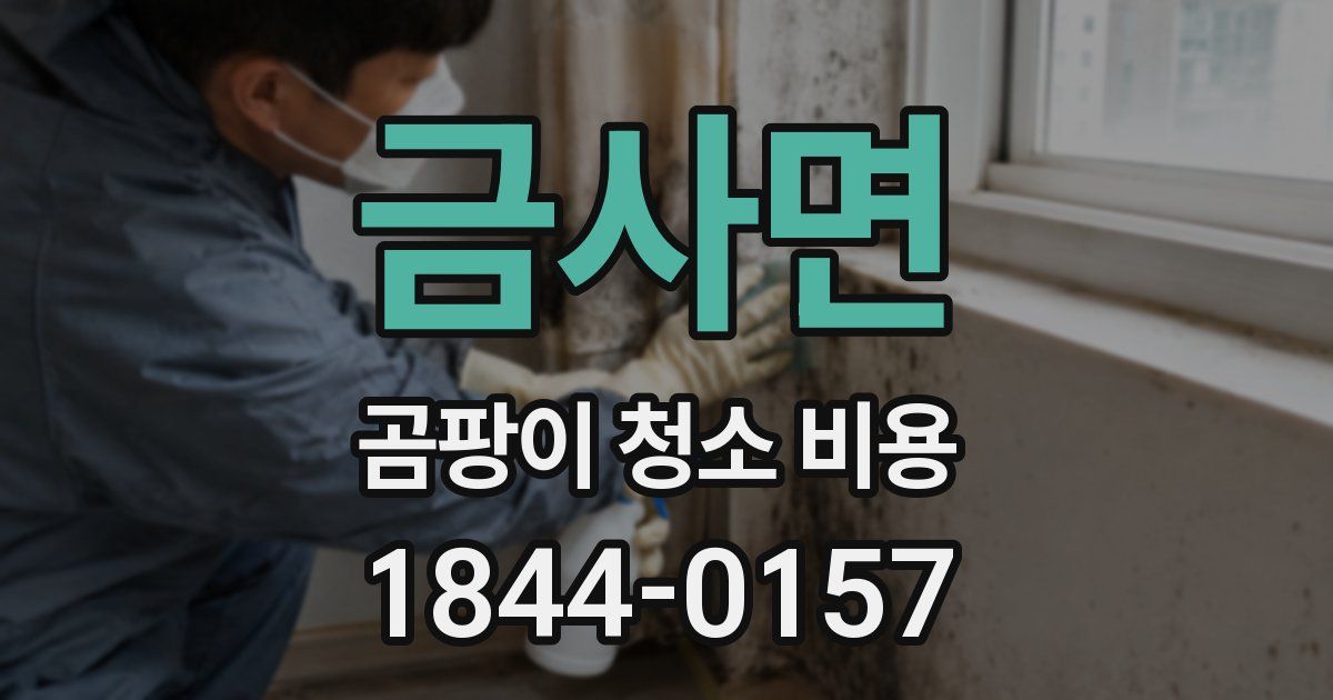 금사면 곰팡이 청소 비용
