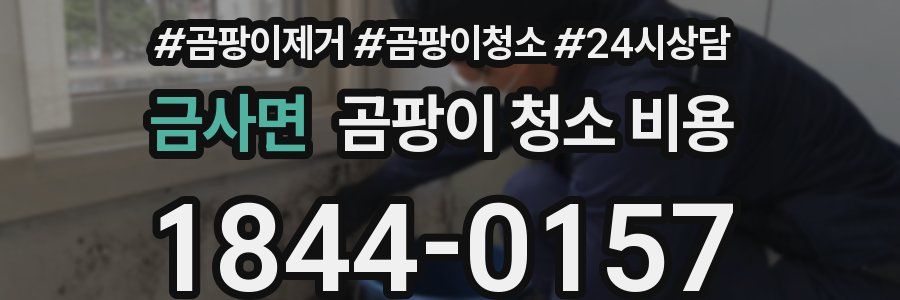 금사면 곰팡이 청소 비용